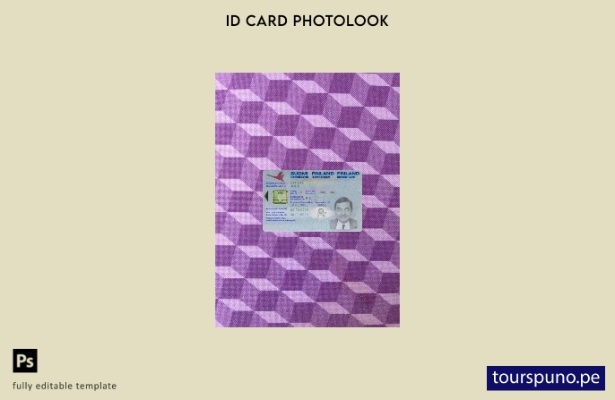 Plantilla frontal de aspecto fotográfico con versión de identificación de Finlan